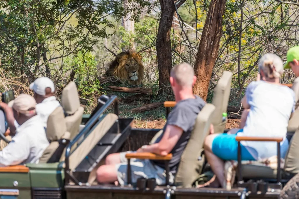Sud Africa - Le meraviglie del Sud Africa