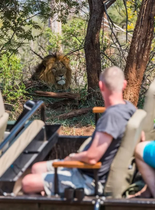 Sud Africa - Le meraviglie del Sud Africa