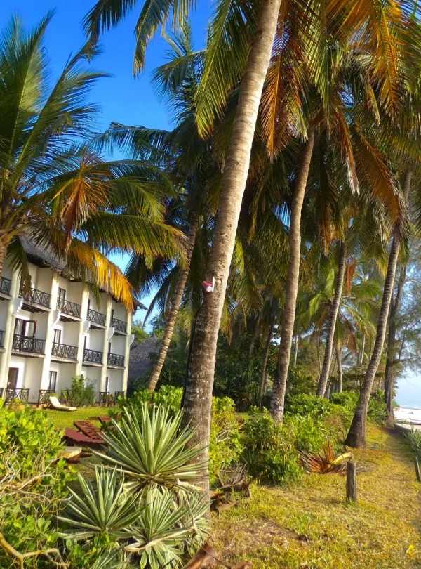 Kenya - I parchi del nord & Diani Beach