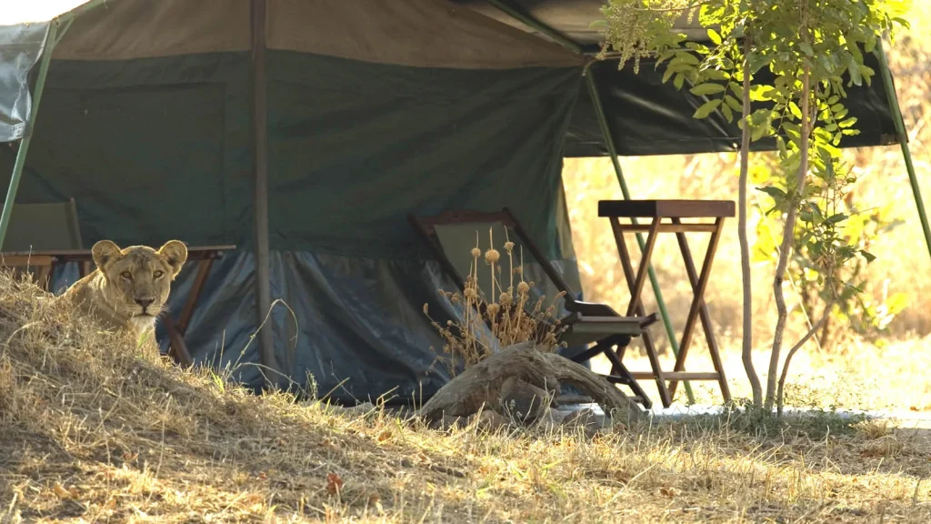 Tanzania - I parchi del sud