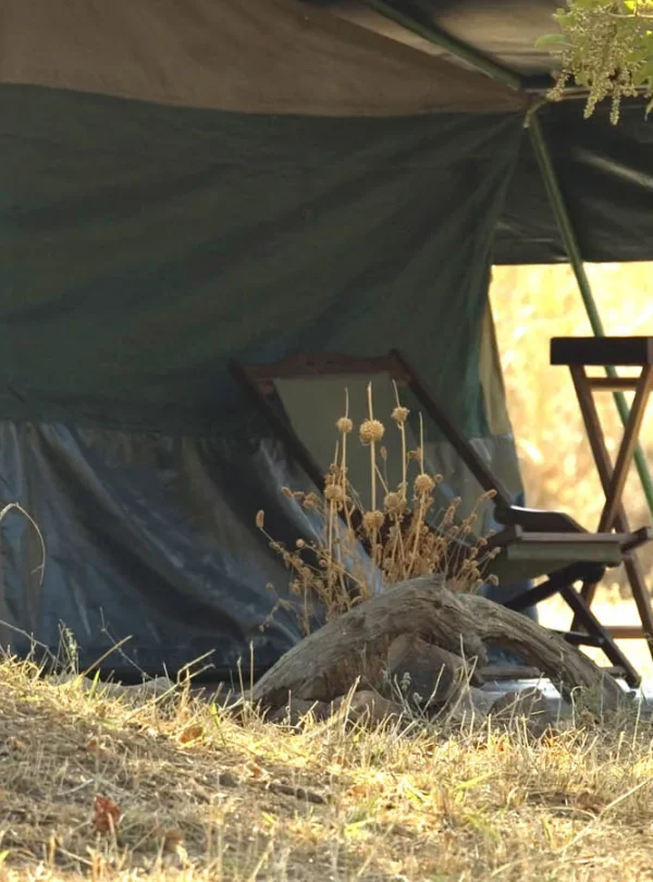 Tanzania - I parchi del sud