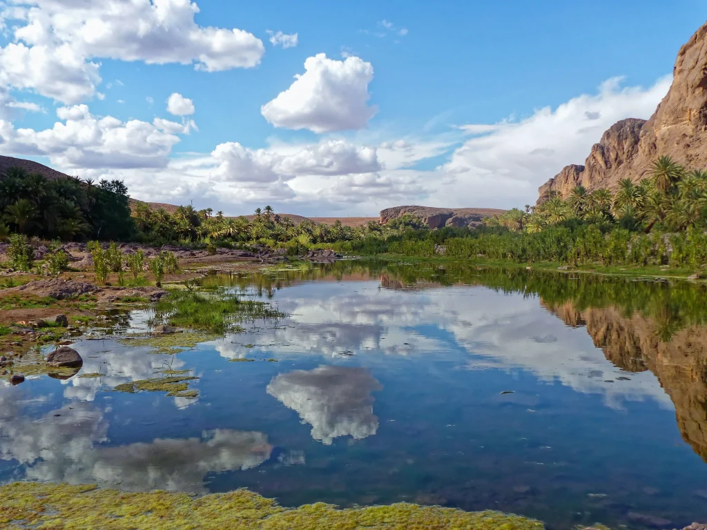 Marocco - Marrakech, montagne, oasi e deserto
