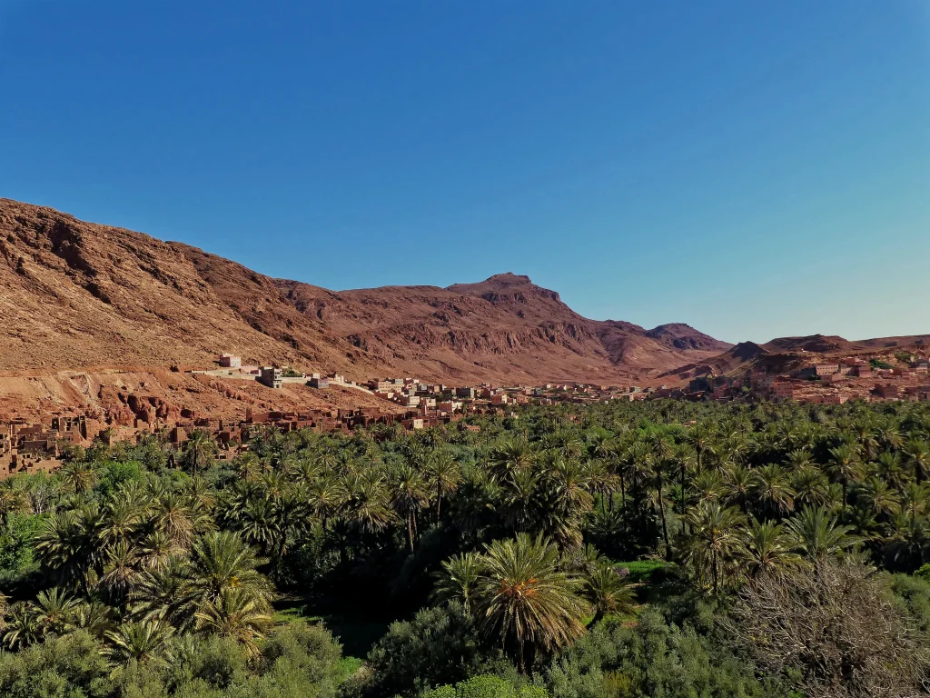 Marocco - Marrakech, montagne, oasi e deserto