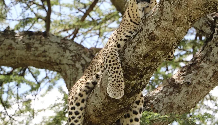 Tanzania: Northern Circuit