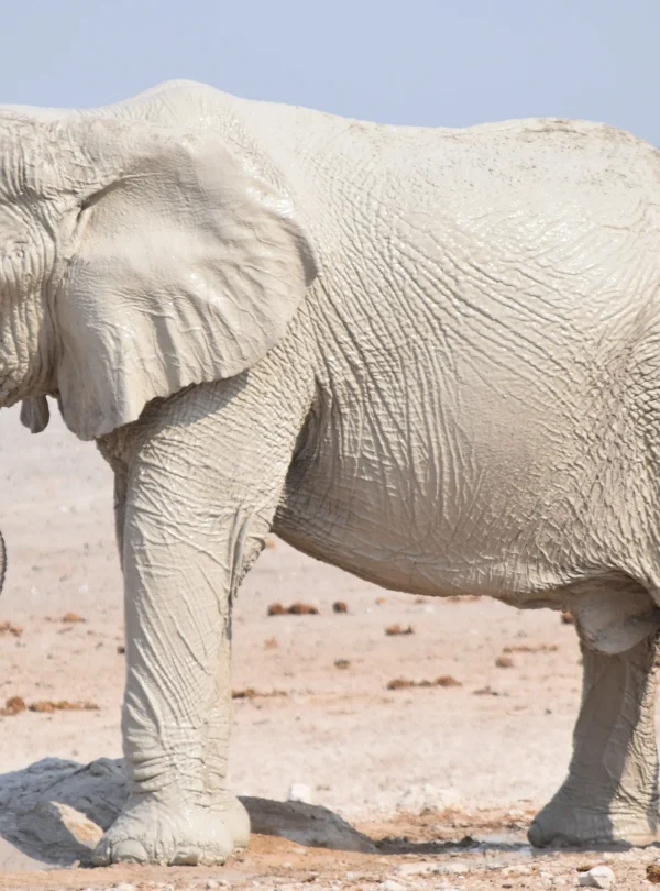 Namibia camping self drive