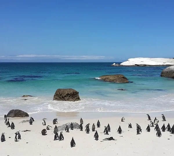 SudAfricaSudAfrica - La quinta essenza del SudAfrica - La quinta essenza del SudAfrica