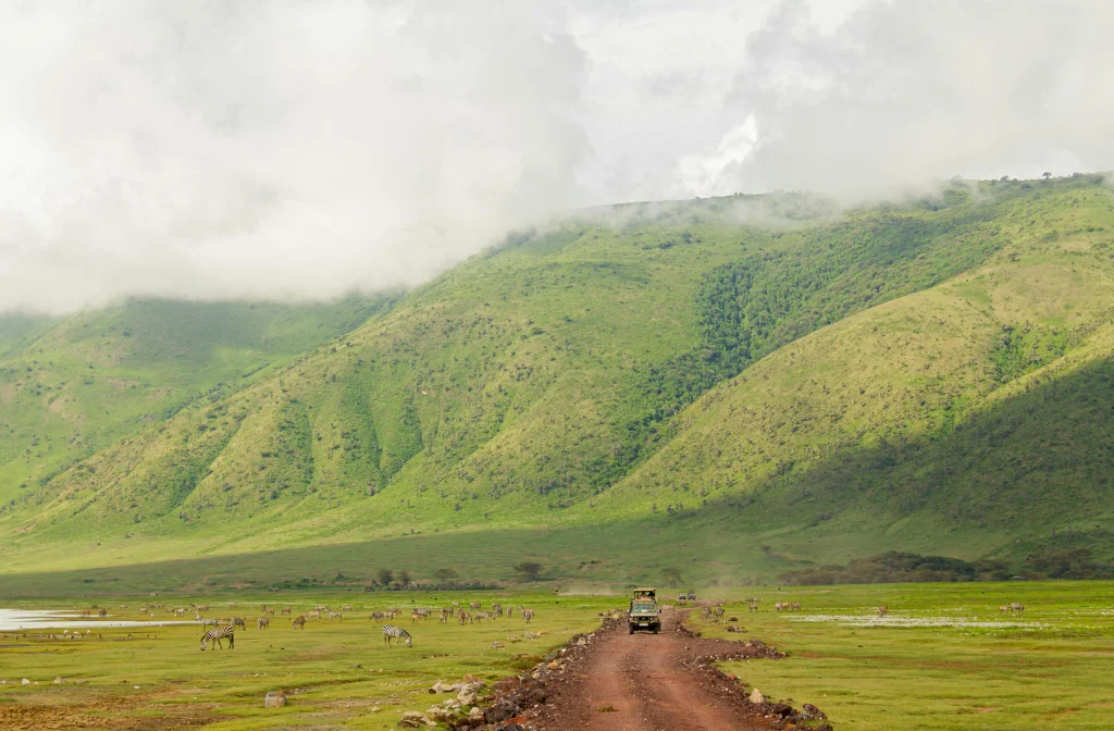 Tanzania : South Circuit