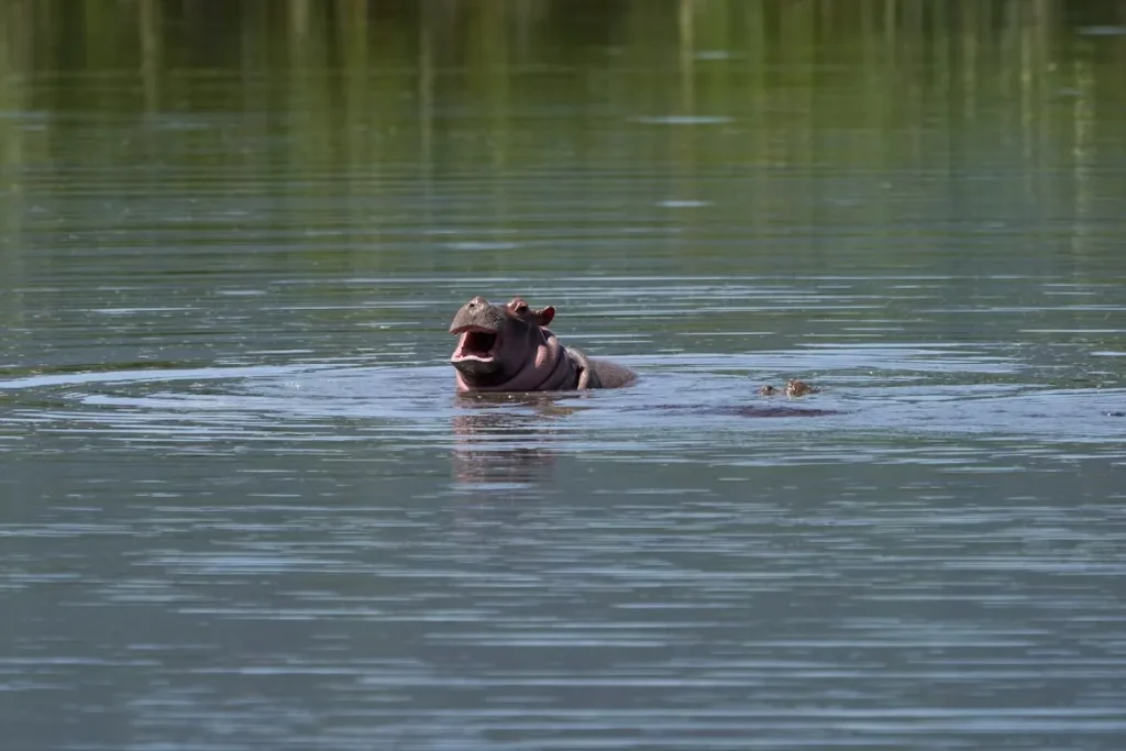 Tanzania: Northern Circuit