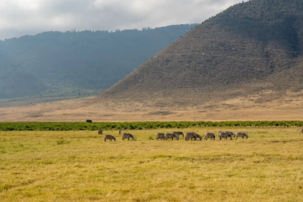 Tanzania: Northern Circuit