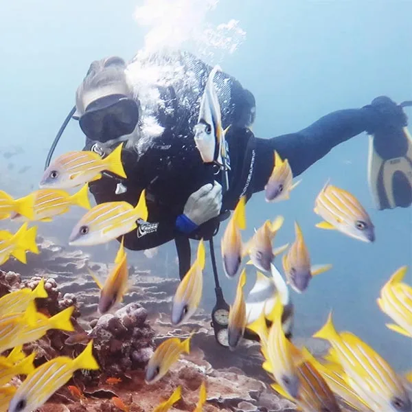 Tanzania e Mafia Island - Safari Essence e mare