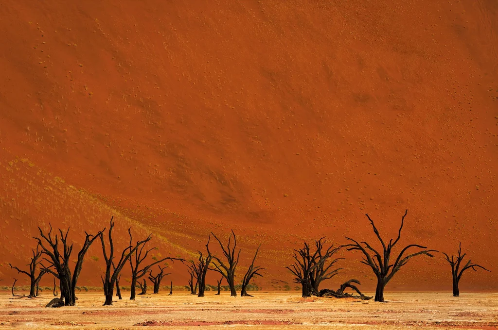 Namibia - Kwessi Dunes