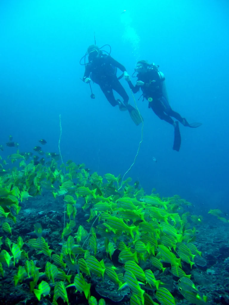 Tanzania - Mafia Island Lodge