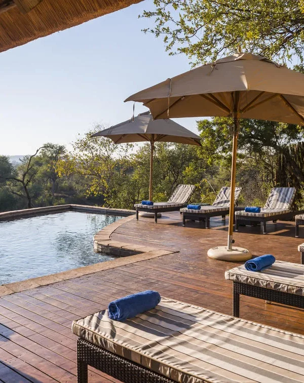 Sud Africa - Madikwe & Cape Town