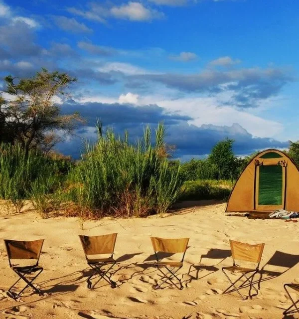 Zimbabwe e Botswana Game Trail