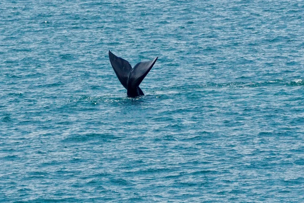 Sud Africa - Le meraviglie del Sud Africa