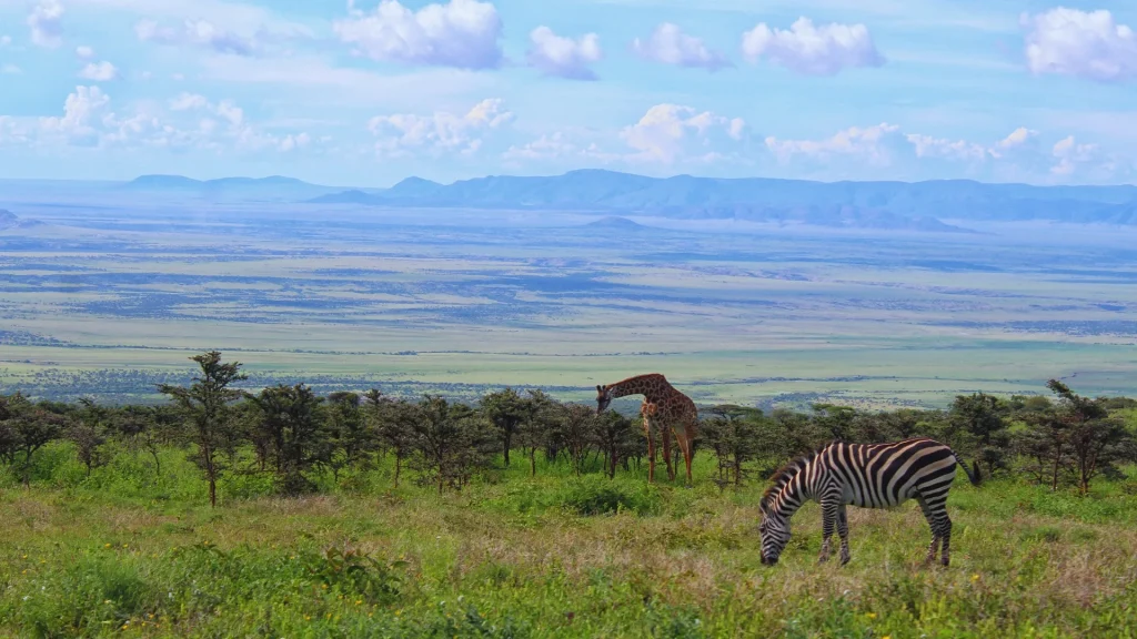 Tanzania - Ol Doinyo Lengai e le distese del Serengeti