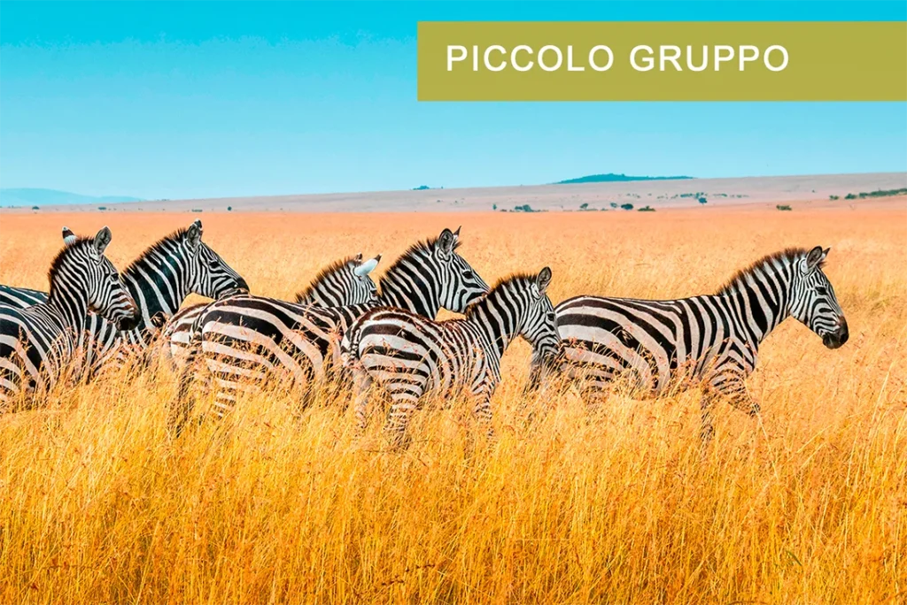 Kenya - Safari Essenza